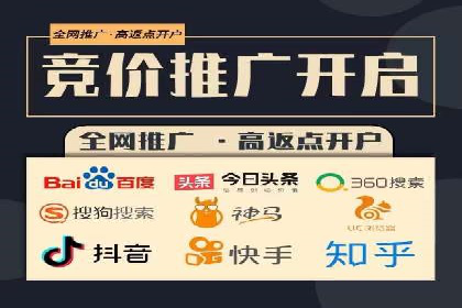 百度SEO推广公司成功案例：助力企业实现流量暴增